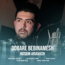 آهنگ جدید حسین اریاوش به نام دوباره ببینمش